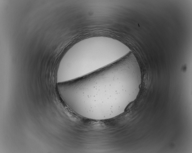 X0000115580424200911100958