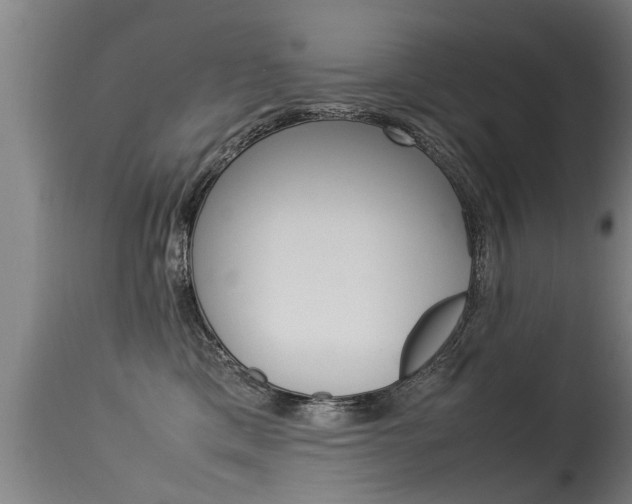 X0000115580425200911100958