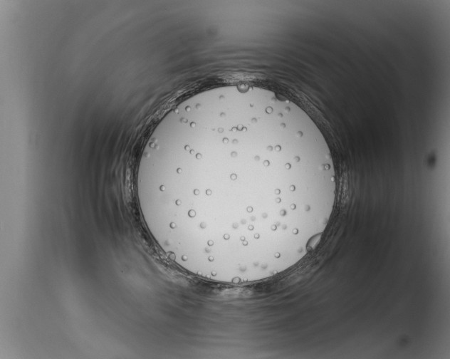 X0000115580426200911100958