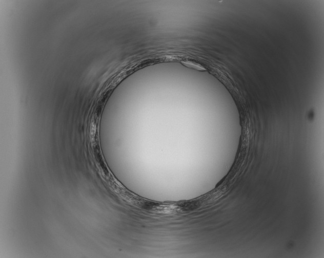 X0000115580427200911100958