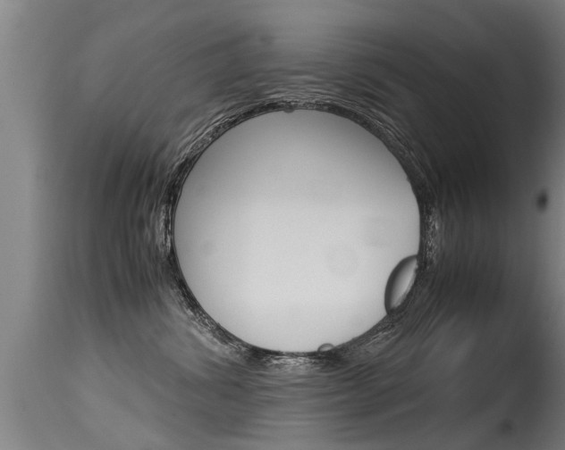 X0000115580428200911100958