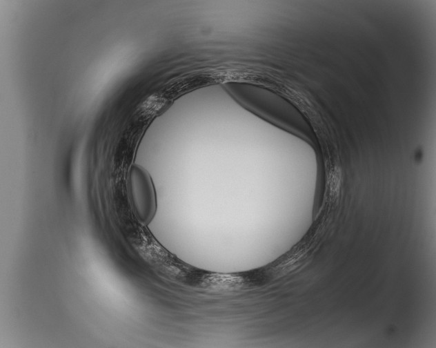 X0000115580429200911100958