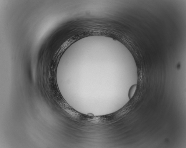 X0000115580430200911100958