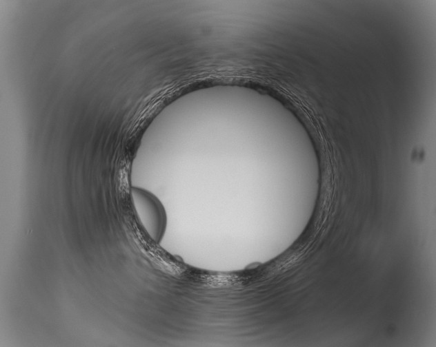 X0000115580432200911100958