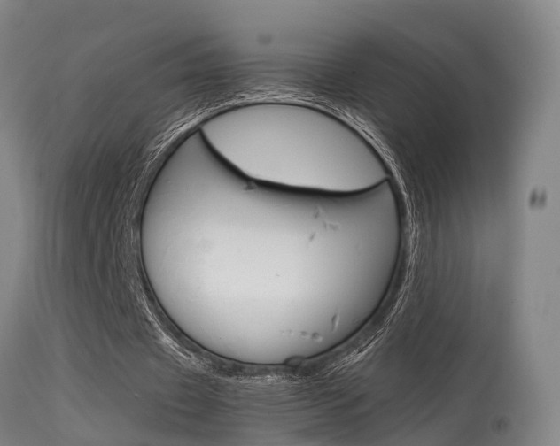 X0000115580433200911100957