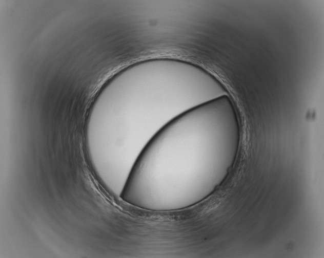 X0000115580434200911100957
