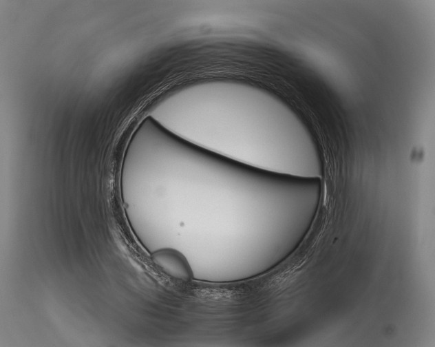 X0000115580435200911100957