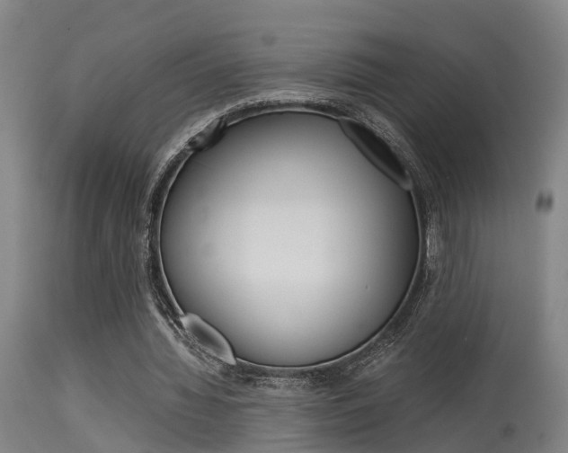 X0000115580436200911100957