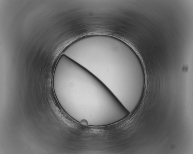 X0000115580437200911100957
