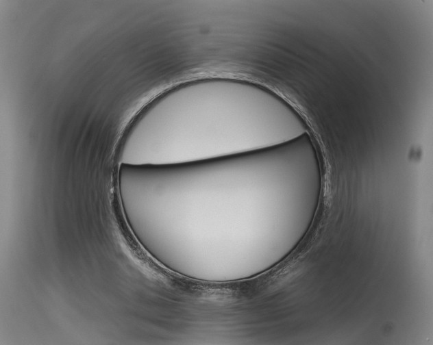 X0000115580438200911100957