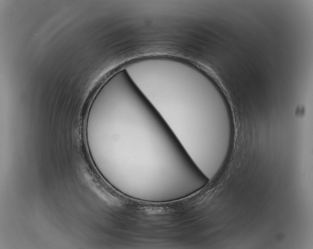 X0000115580439200911100957
