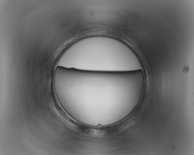 X0000115580442200911100958