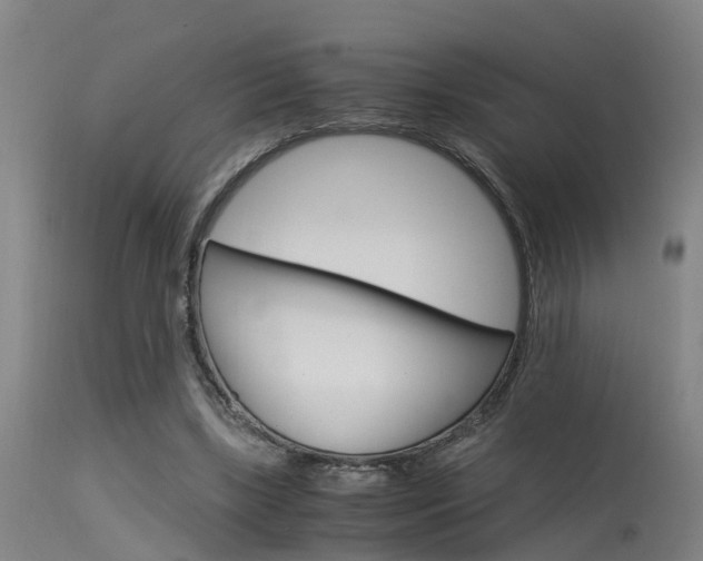 X0000115580443200911100958