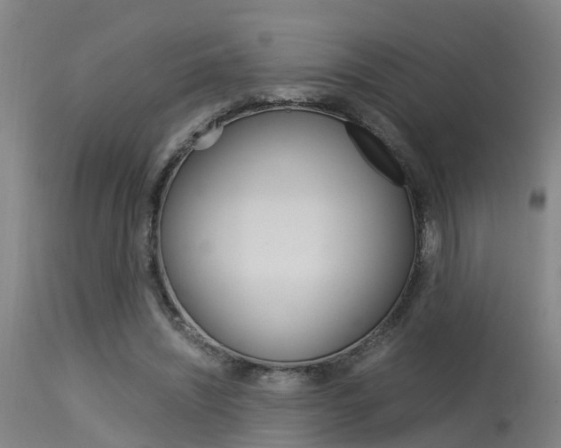 X0000115580444200911100958
