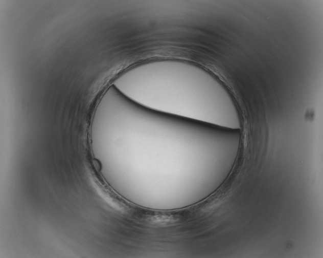 X0000115580445200911100958