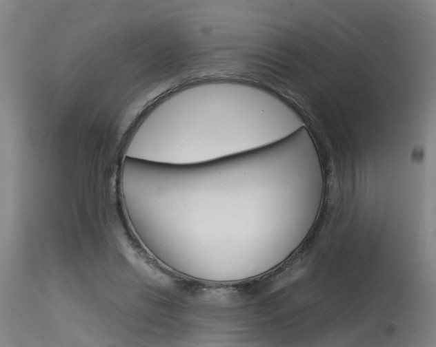 X0000115580446200911100958