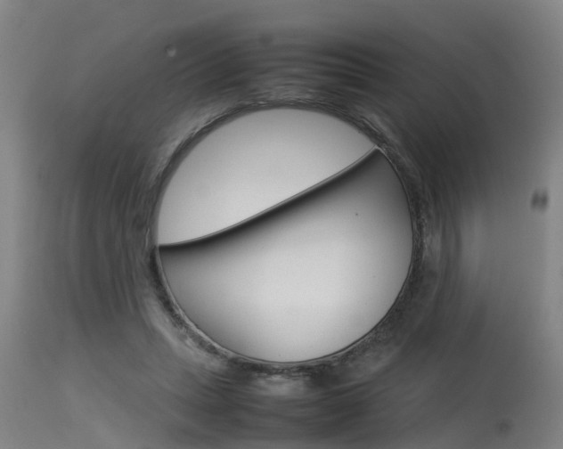 X0000115580447200911100958