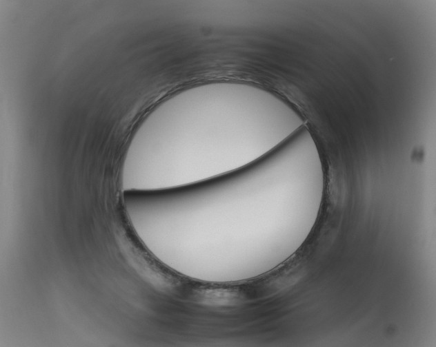 X0000115580449200911100958