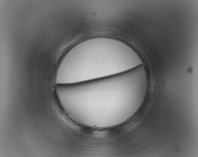 X0000115580450200911100958