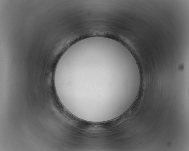 X0000115580451200911100958