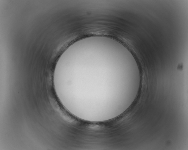 X0000115580453200911100958