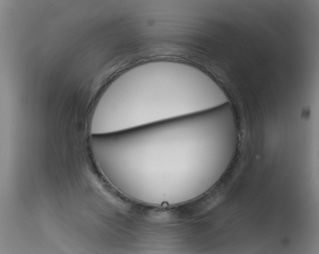 X0000115580454200911100958