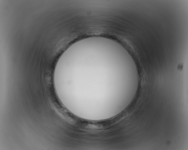 X0000115580455200911100958