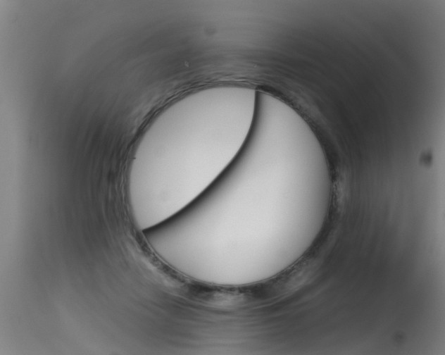 X0000115580458200911100958