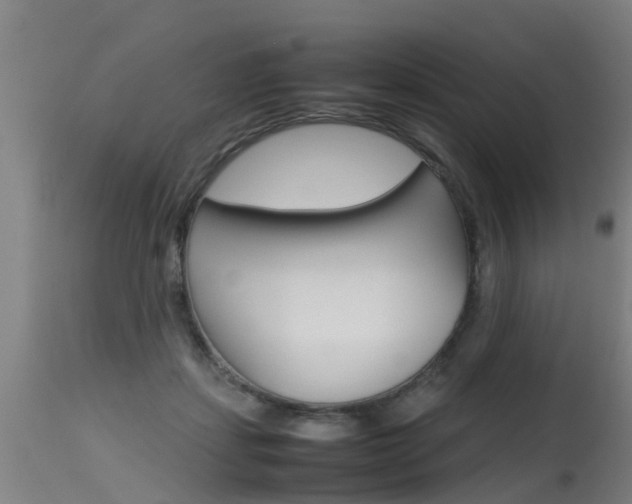 X0000115580459200911100958