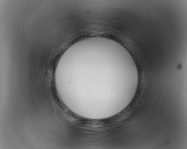 X0000115580463200911100958