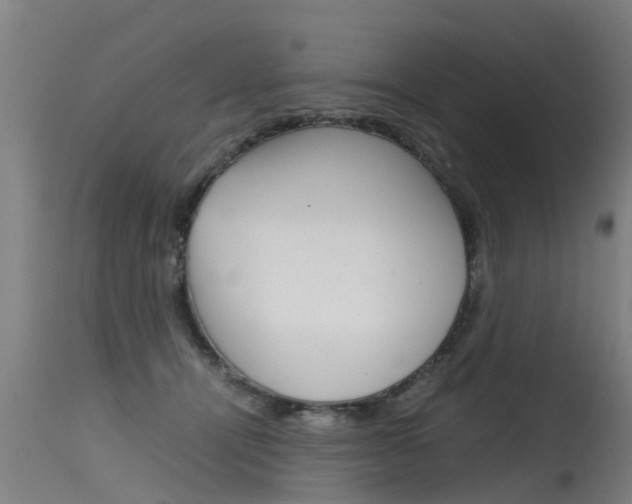 X0000115580464200911100958