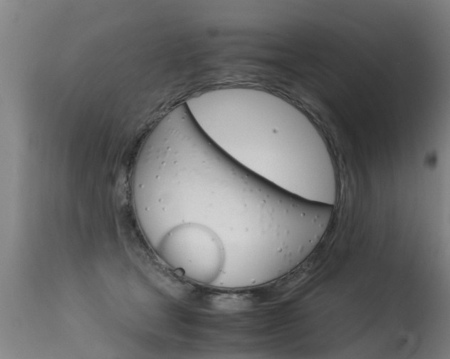 X0000115580465200911100958