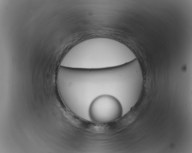 X0000115580466200911100958