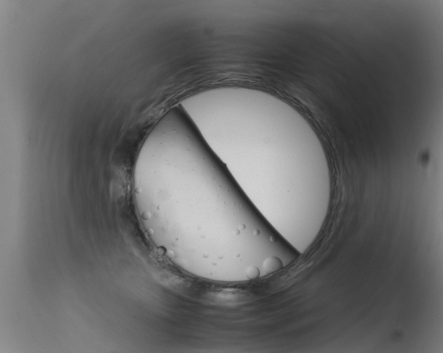 X0000115580467200911100958