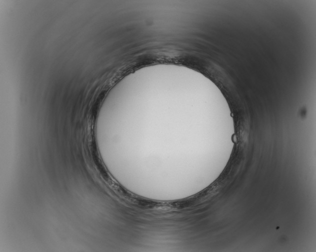X0000115580468200911100958