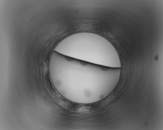 X0000115580471200911100958
