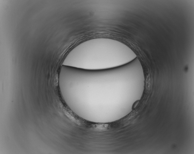 X0000115580474200911100958