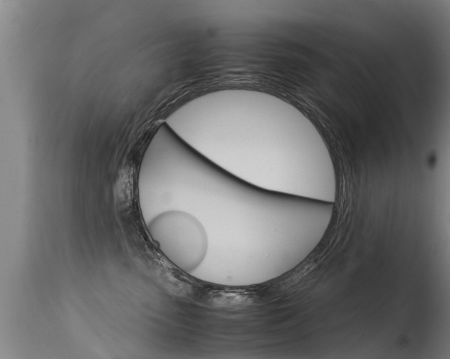 X0000115580475200911100958