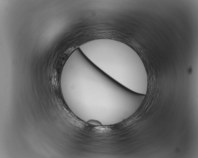 X0000115580477200911100958