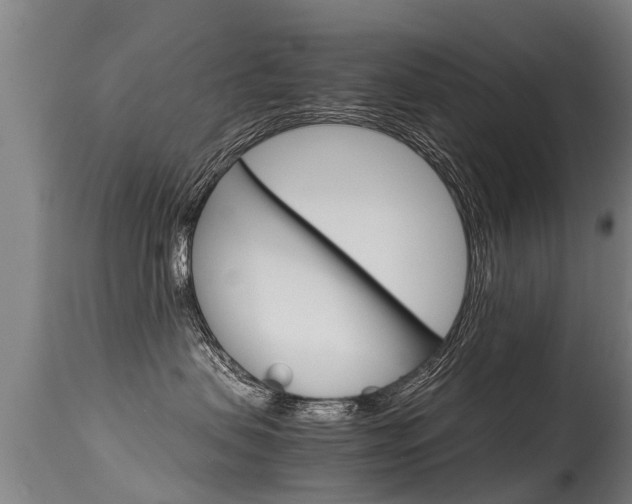 X0000115580479200911100958