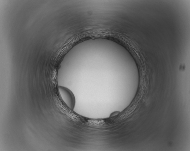 X0000115580480200911100958