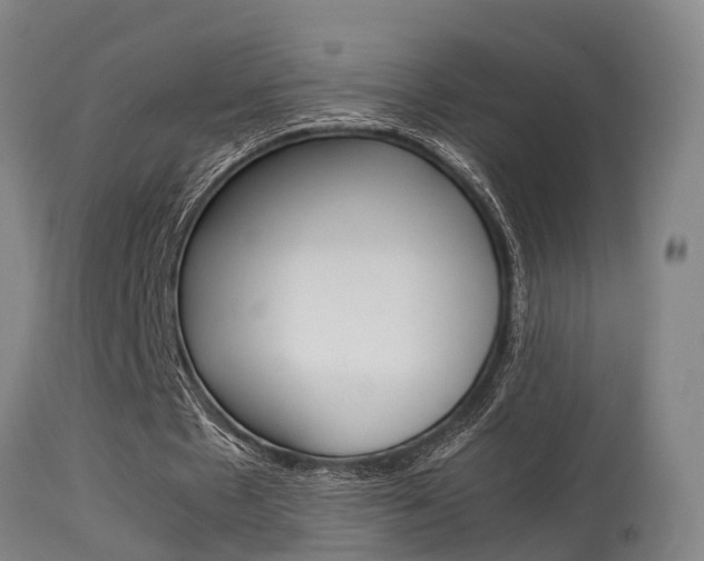 X0000115580481200911100957