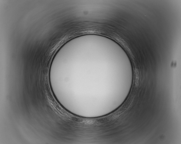 X0000115580482200911100957
