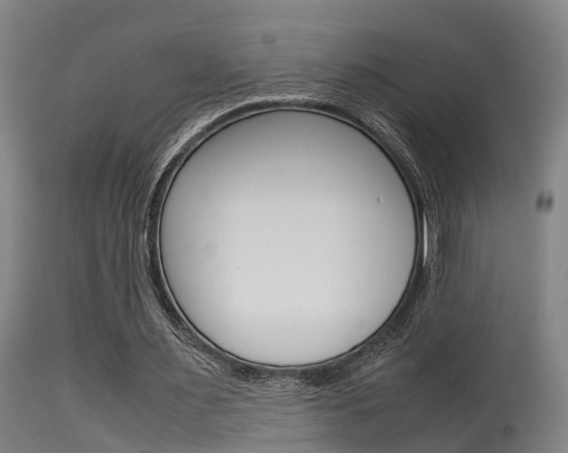 X0000115580483200911100957