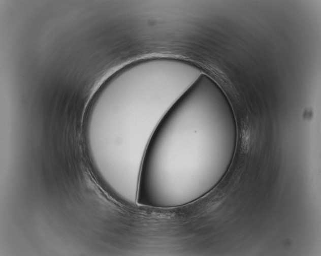X0000115580484200911100957