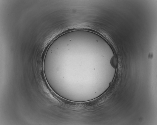 X0000115580485200911100957