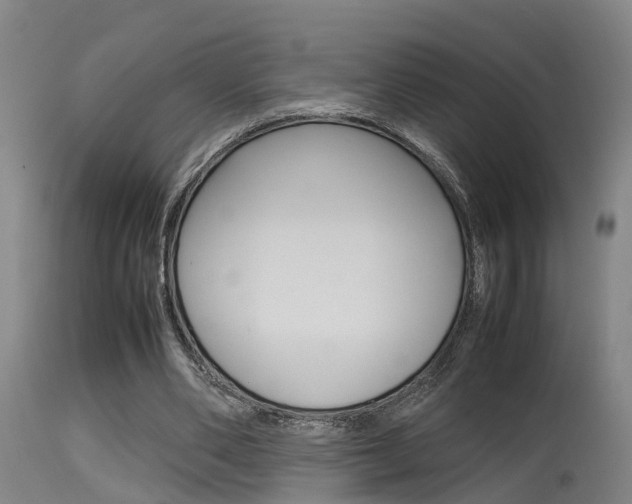 X0000115580486200911100957