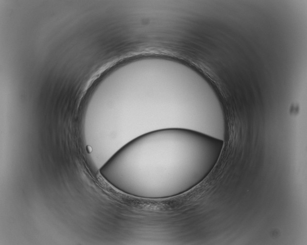 X0000115580488200911100957