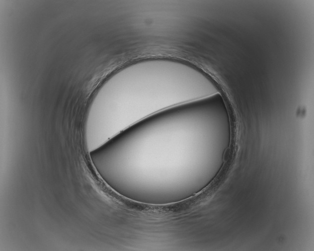 X0000115580489200911100957