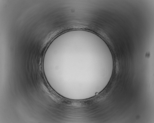 X0000115580490200911100957